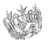 Drift.rip connection Icon