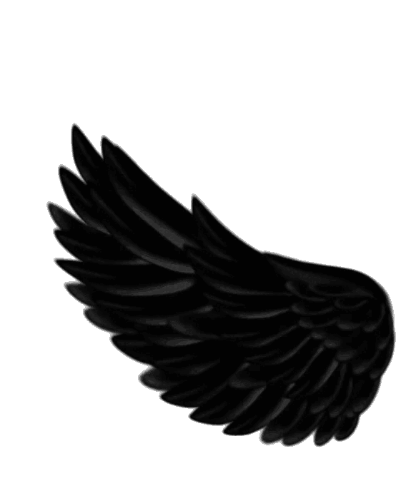 Drift.rip connection Icon