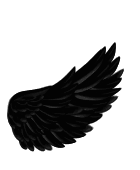 Drift.rip connection Icon