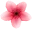 Drift.rip connection Icon