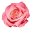Drift.rip connection Icon