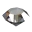 Drift.rip connection Icon